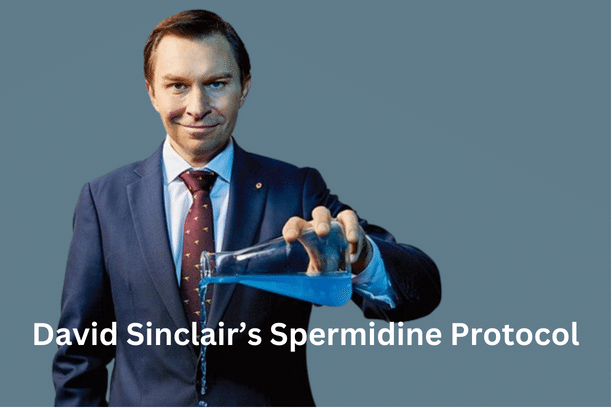 Spermidine and Longevity: An Analysis of David Sinclair’s Protocol