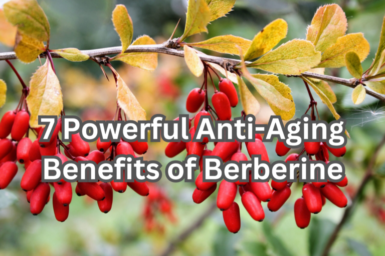 7 Powerful Anti-Aging Benefits of Berberine